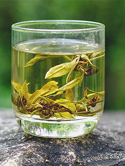 茉莉花茶的功效与作用