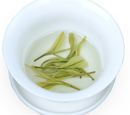 茉莉茶属于绿茶吗