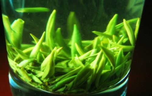 茉莉花茶
