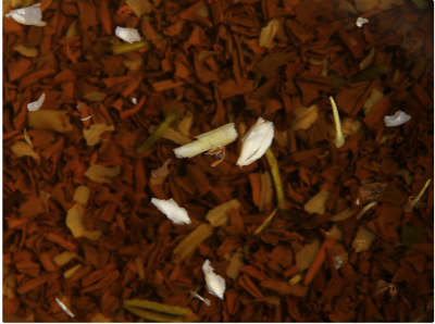 金华茉莉花茶的特点