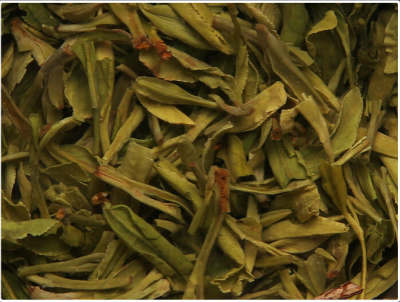 茉莉花茶的名品有哪些