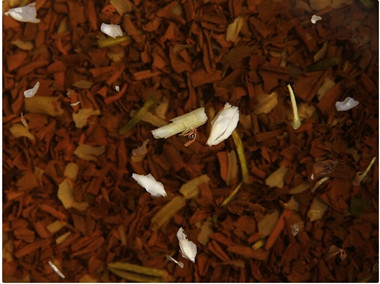 茉莉与普洱茶