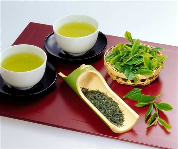茉莉绿茶的好处