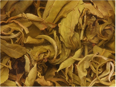 金银花茶茶怎么煮