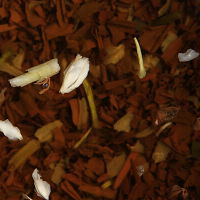 茉莉花茶怎么喝瘦身