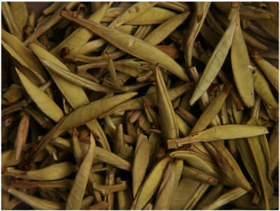 教你如何品鉴茉莉花茶