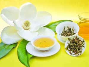 茉莉花茶的相关信息介绍